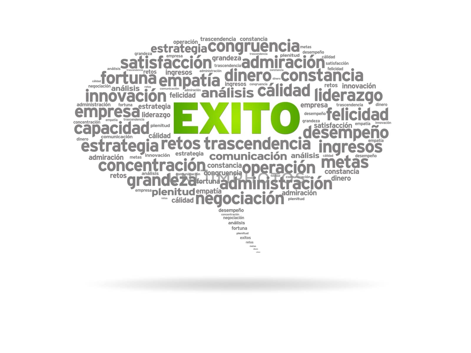 Speech bubble with the word exito on white background.