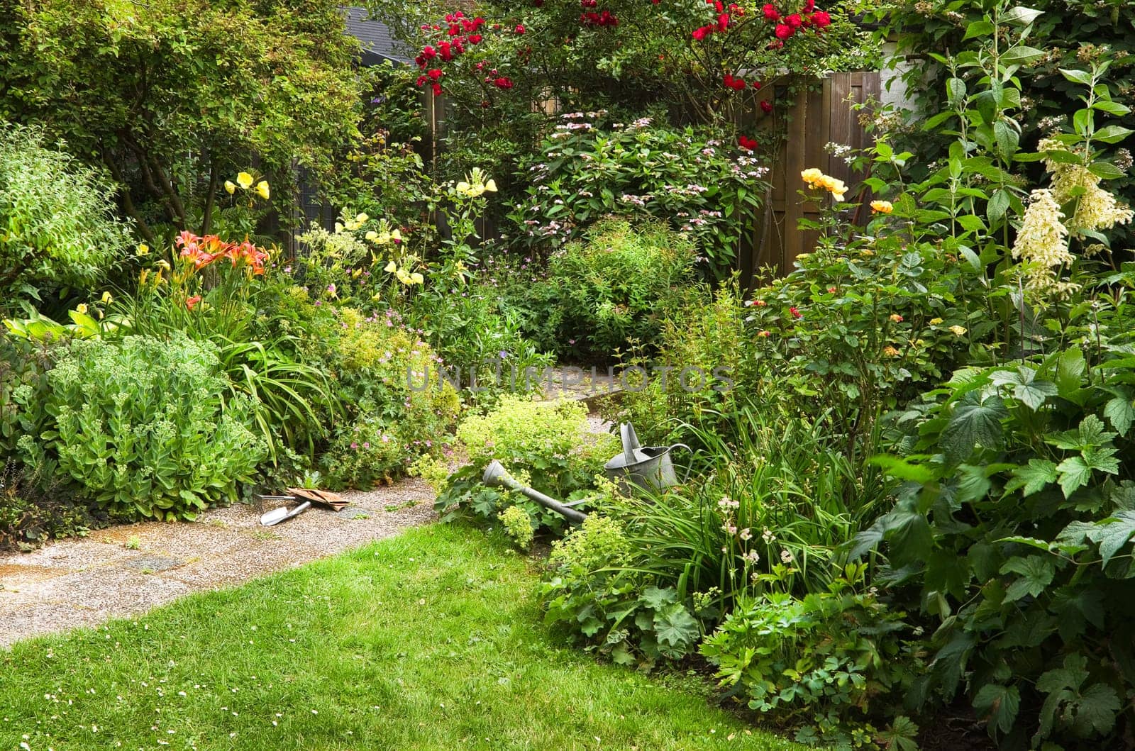 Watering-can and garden tools for cleaning blooming cottage-style garden on summer morning - horizontal
