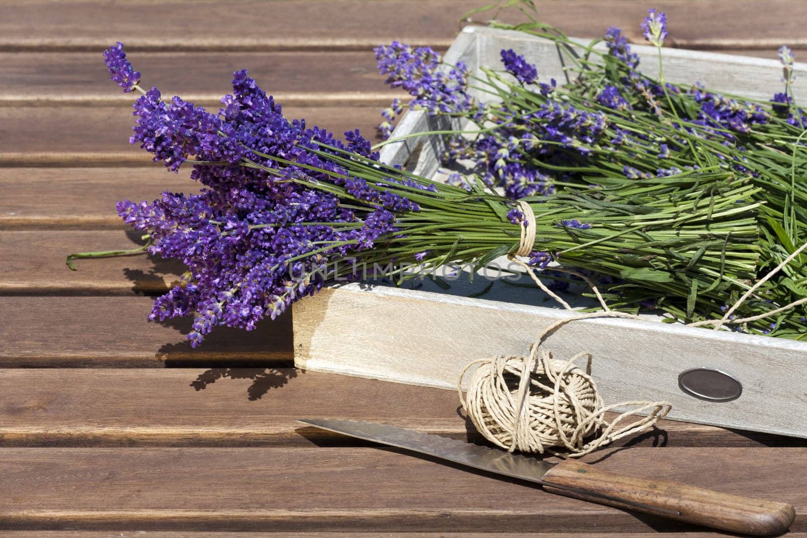 Freshly harvested lavender tied together with thread on a wooden tray