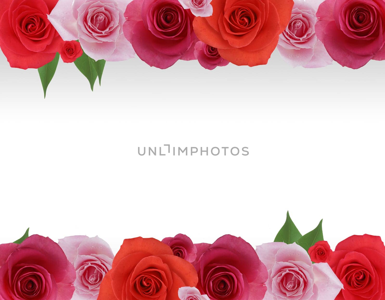 High resolution flower frame graphic.