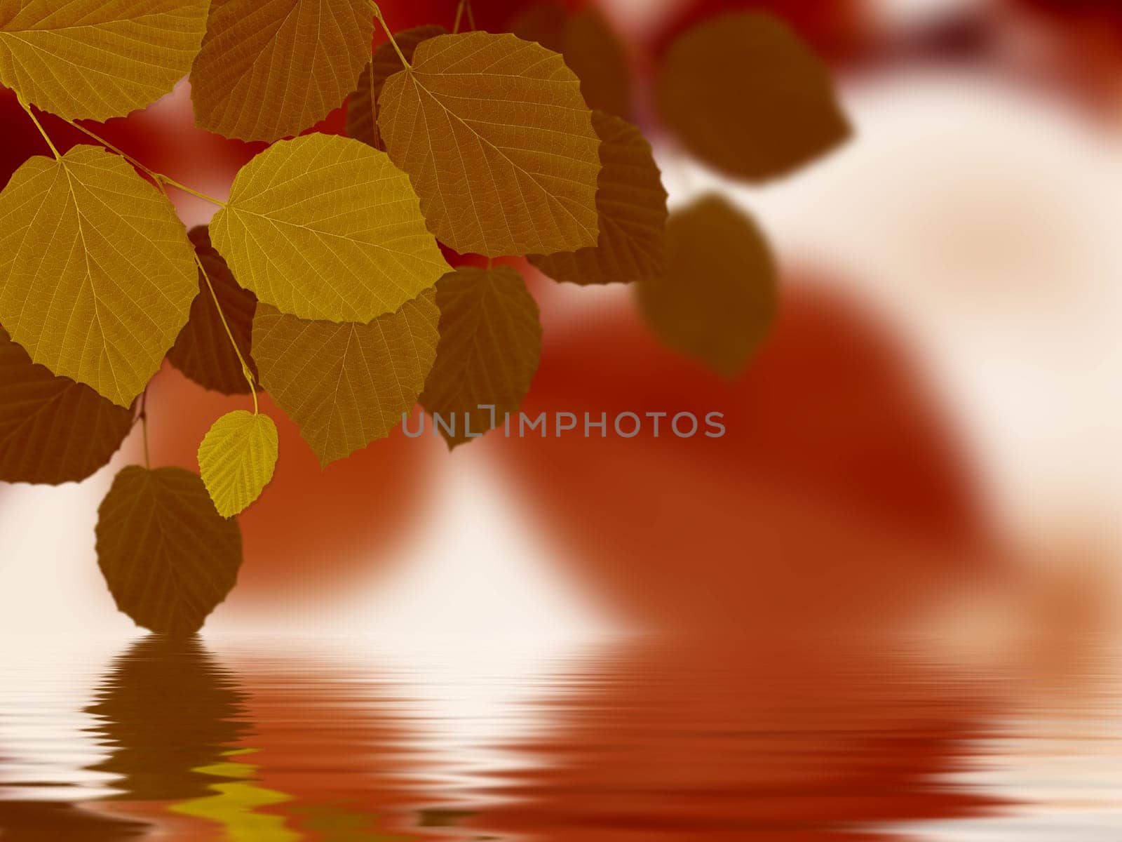 High resolution graphic of Leaves reflecting in water.