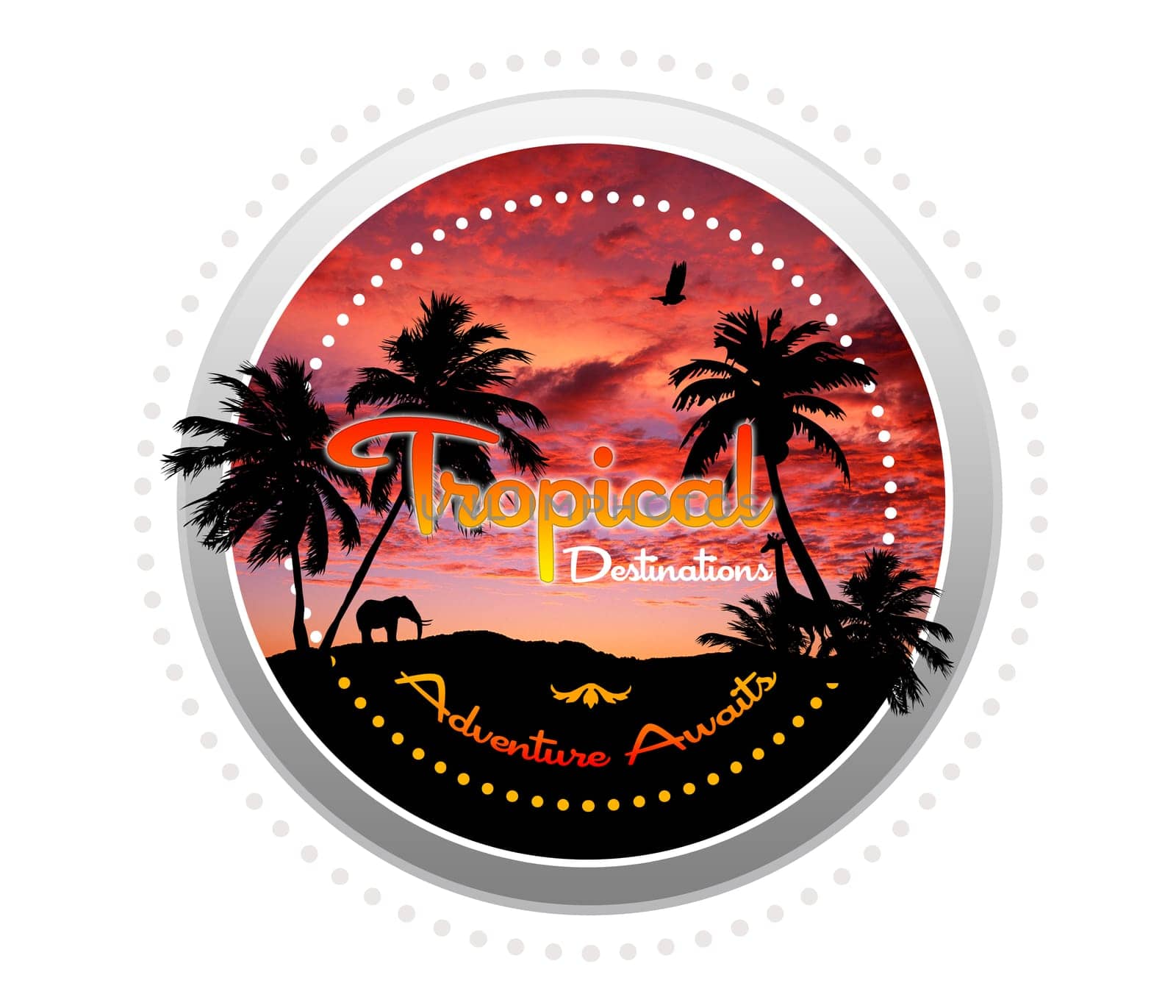 Tropical Destinations - Adventure Awaits