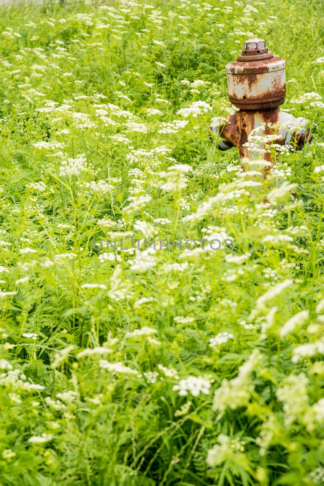 Hydrant in flower style