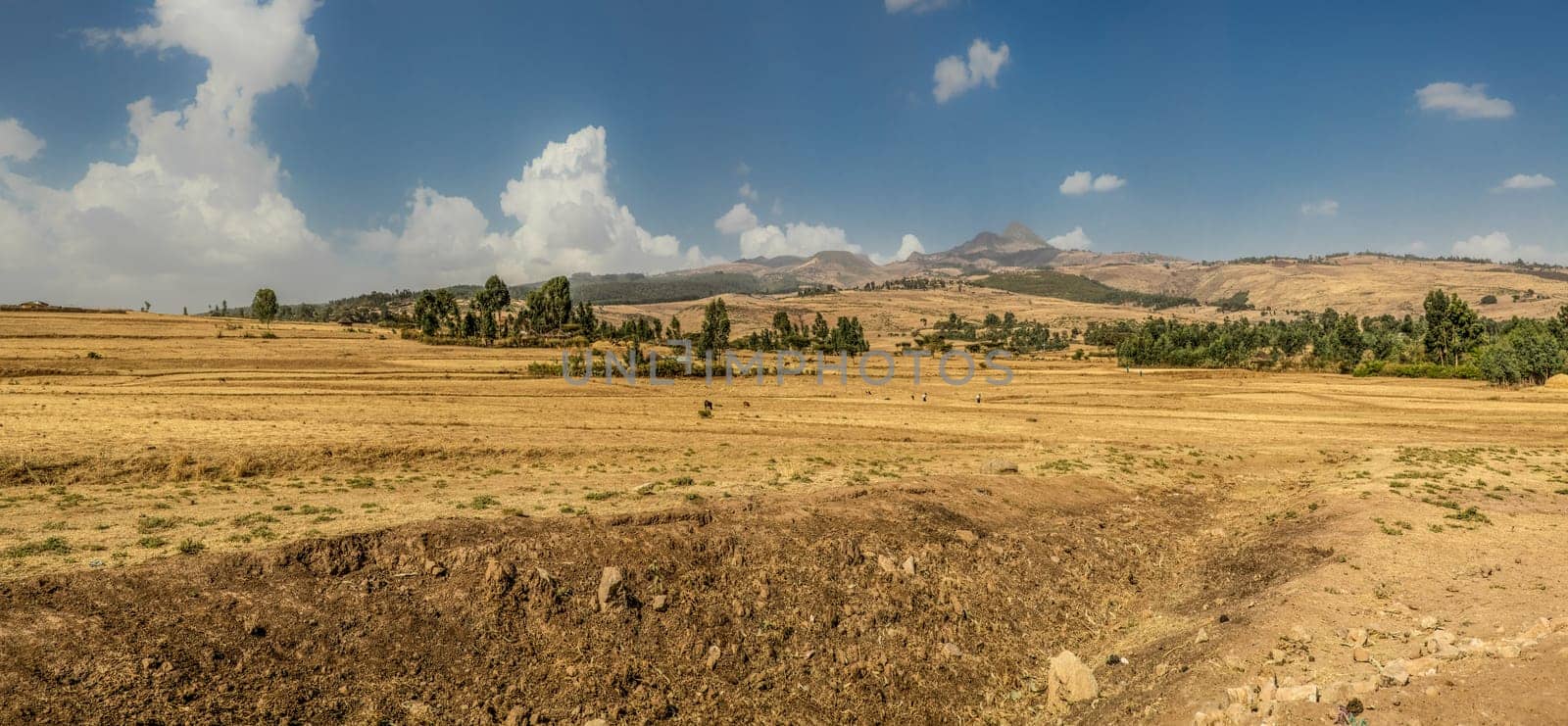 Panoramic view the landscape of the farmlands in Suba area, Ethiopia