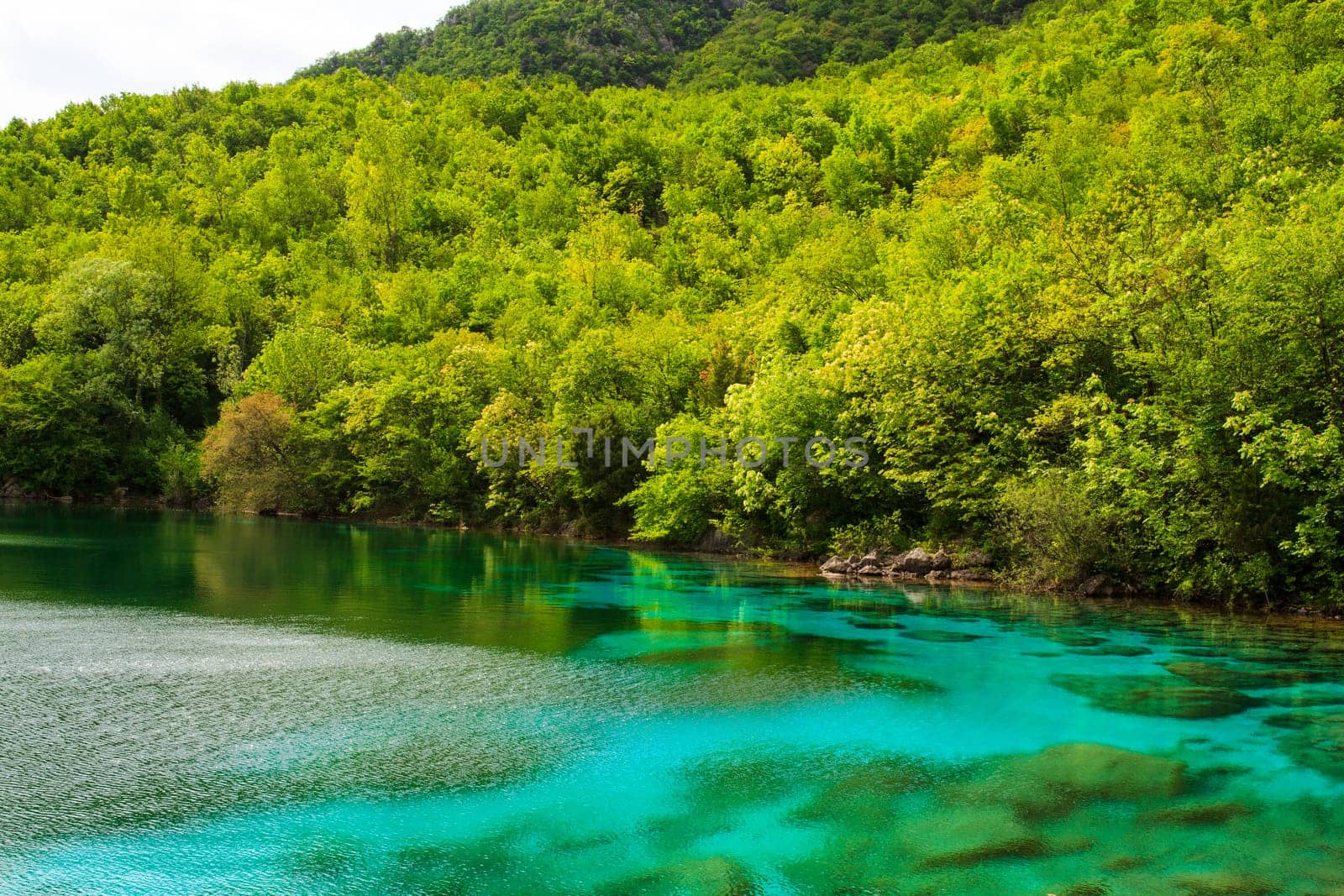 View of Cornino lake in Friuli Venezia Giulia, Italy