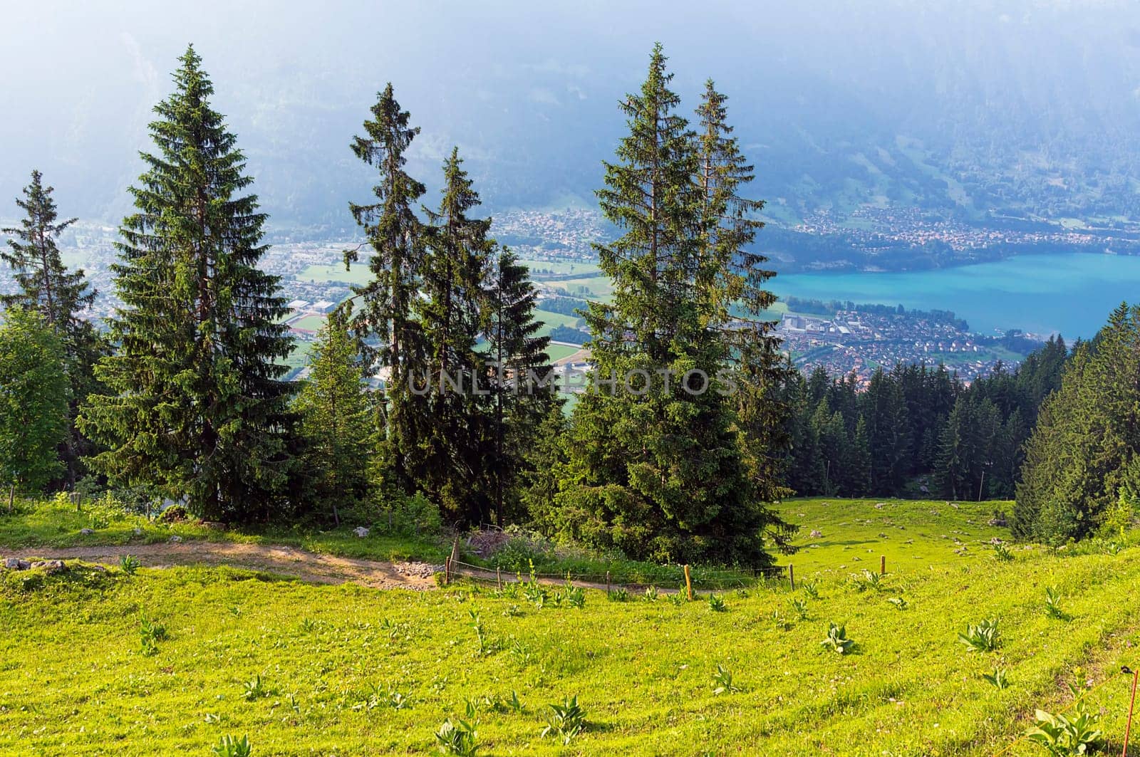 View from Breitlauenen to Lake Thun