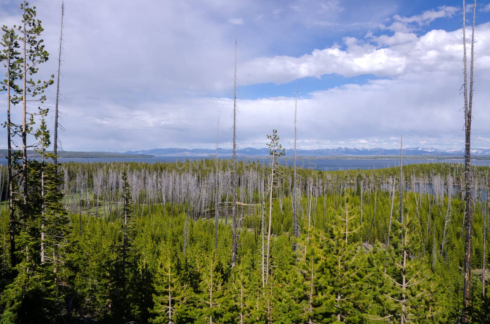 Yellowstone Lake in Yellowstone National Park in Wyoming