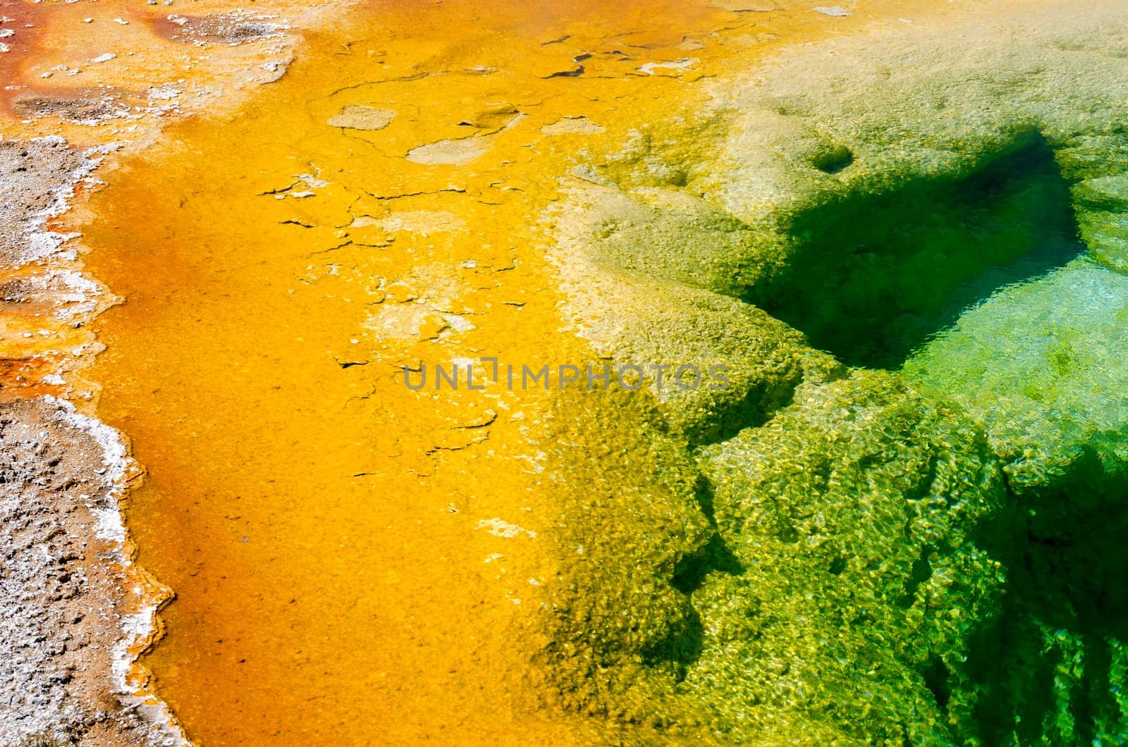 Geyser in Yellowstone National Park in Wyoming