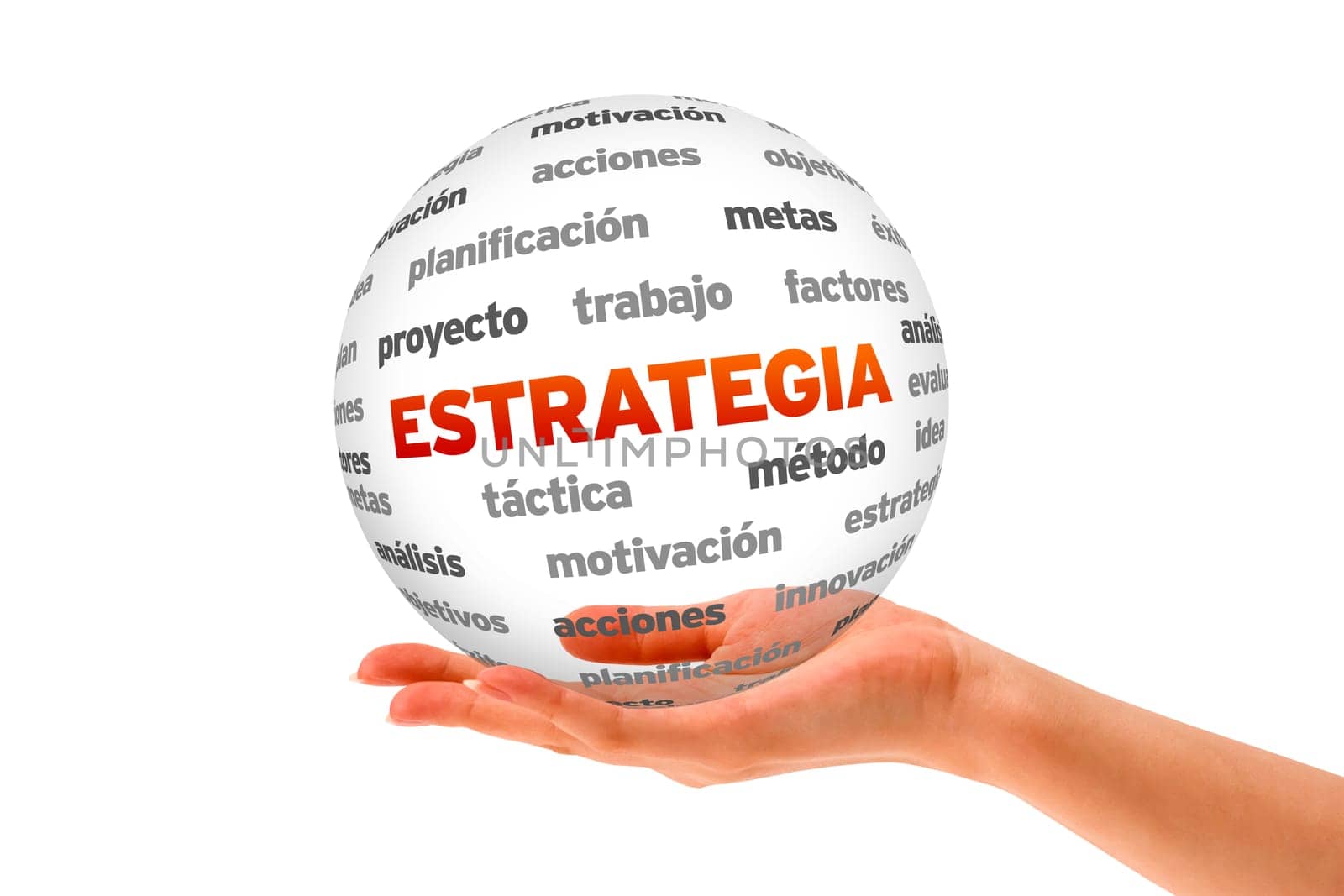 A person  holding a 3D Strategy Sphere ilsolated on white.