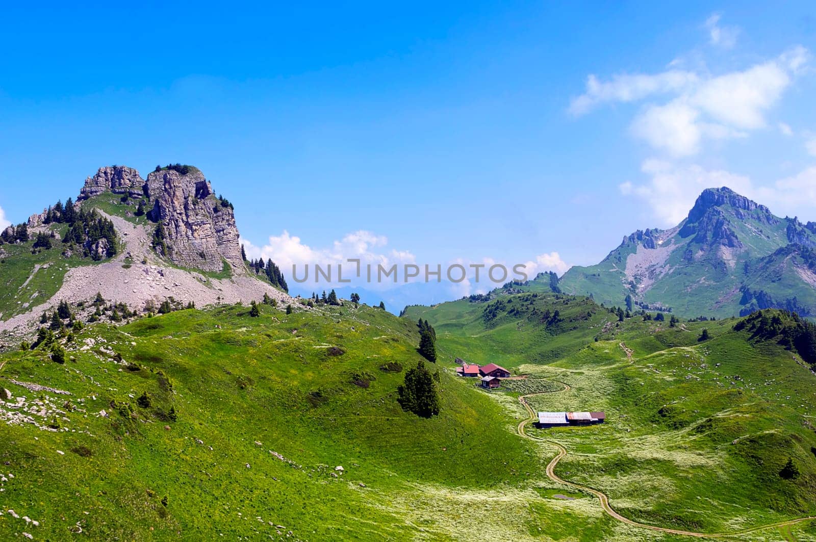 Alpine landscape Schynige Platte