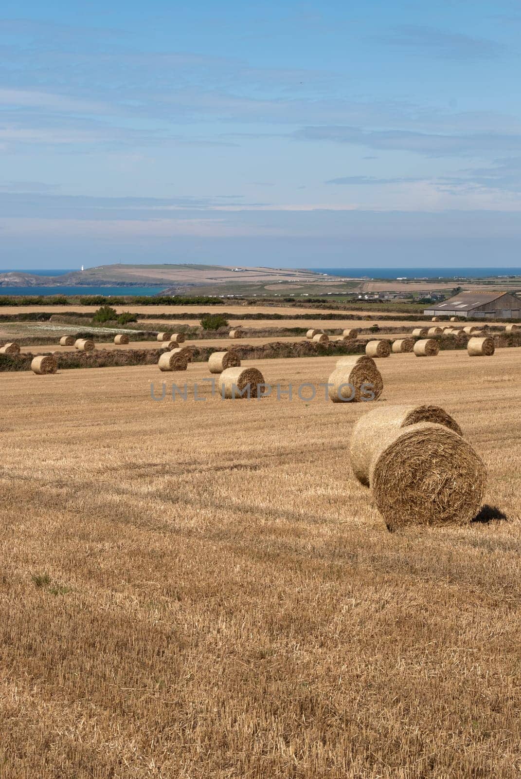 bales of hay on the coast at Newquay in Cornwall