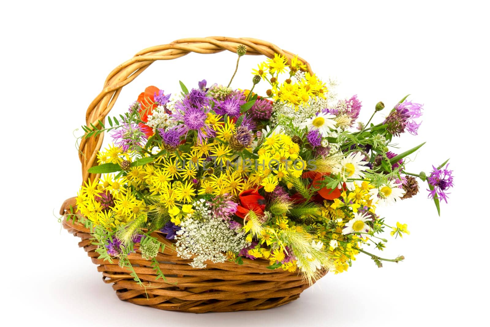 wild flowers in a basket