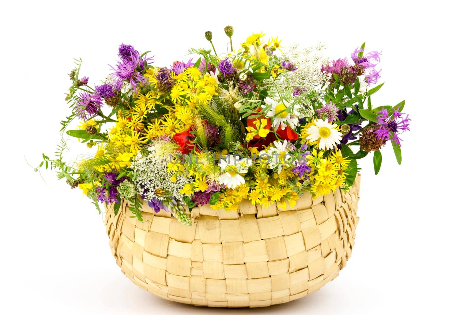 wild flowers in a basket