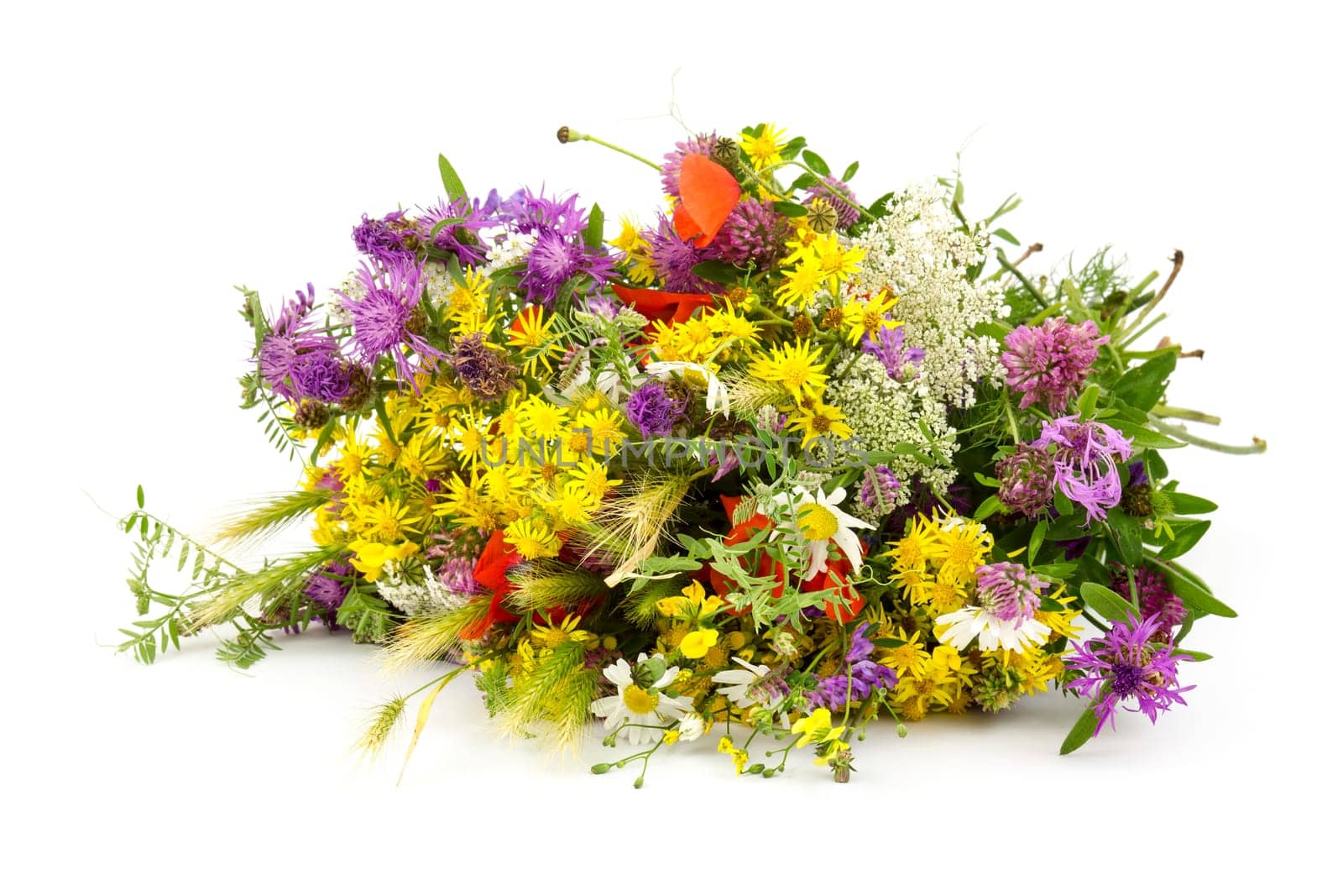 Bouquet of wild flowers isolated on white background