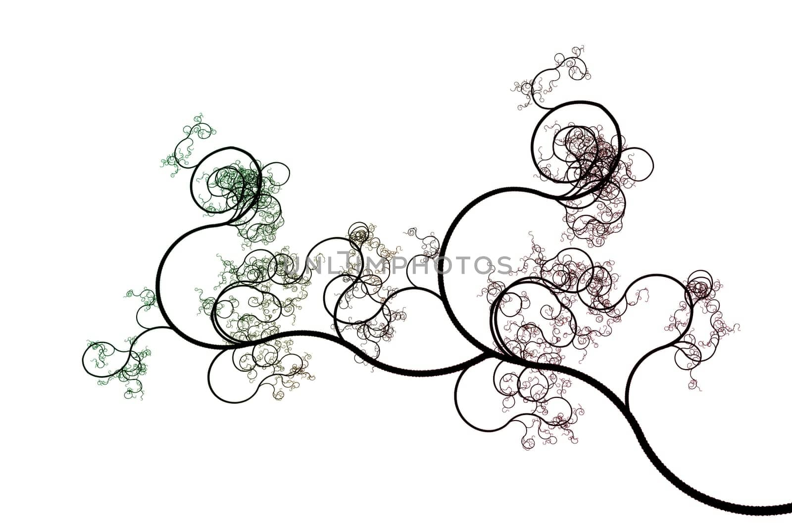 floral background