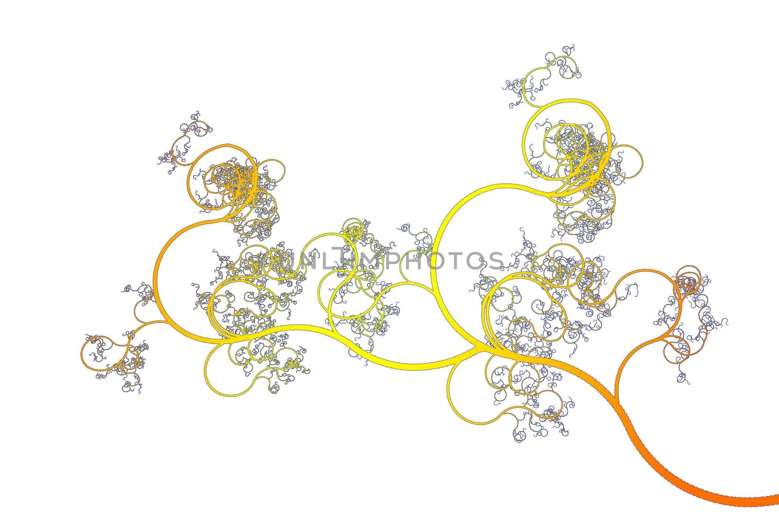 floral background