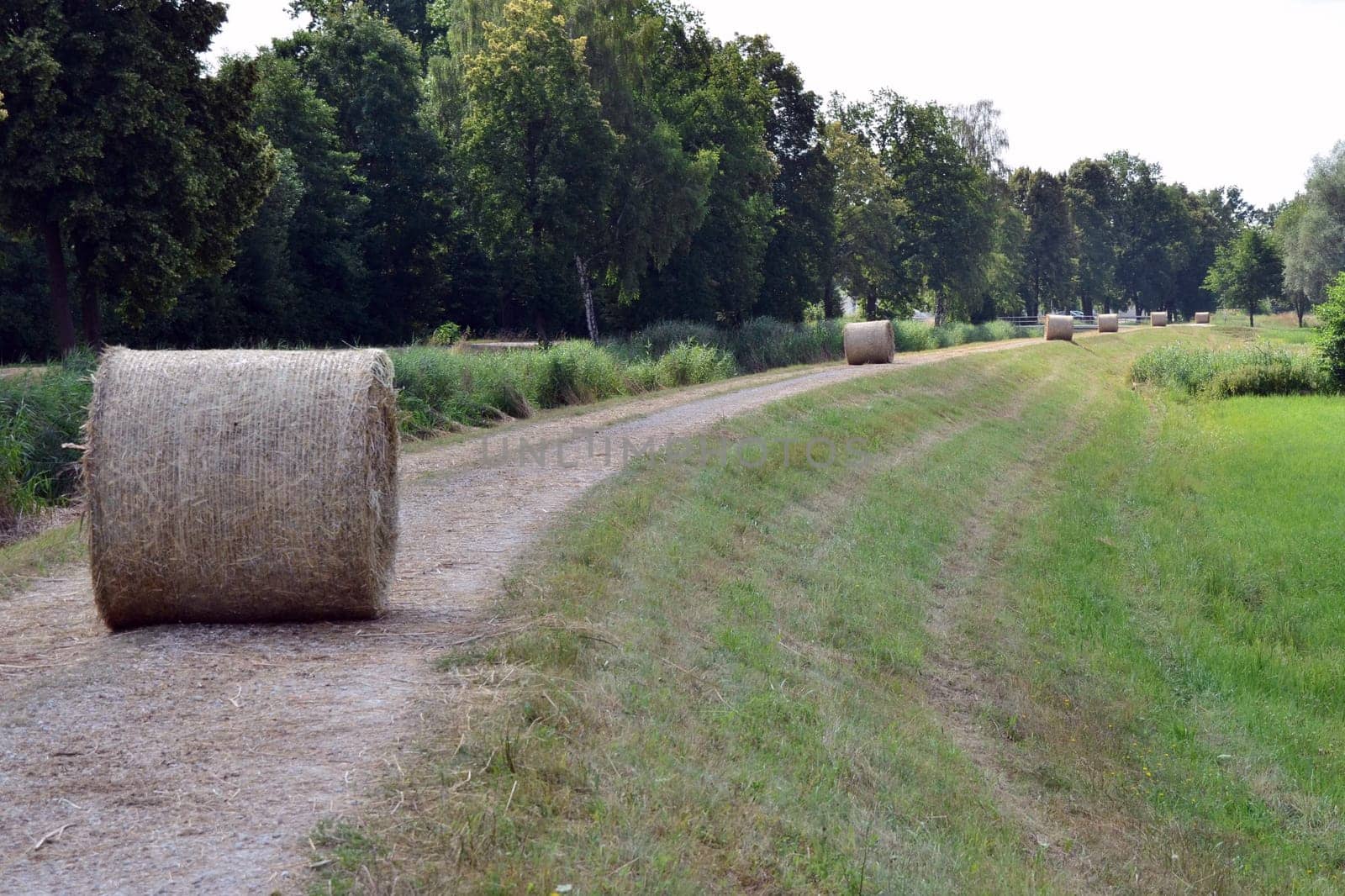 Straw stock