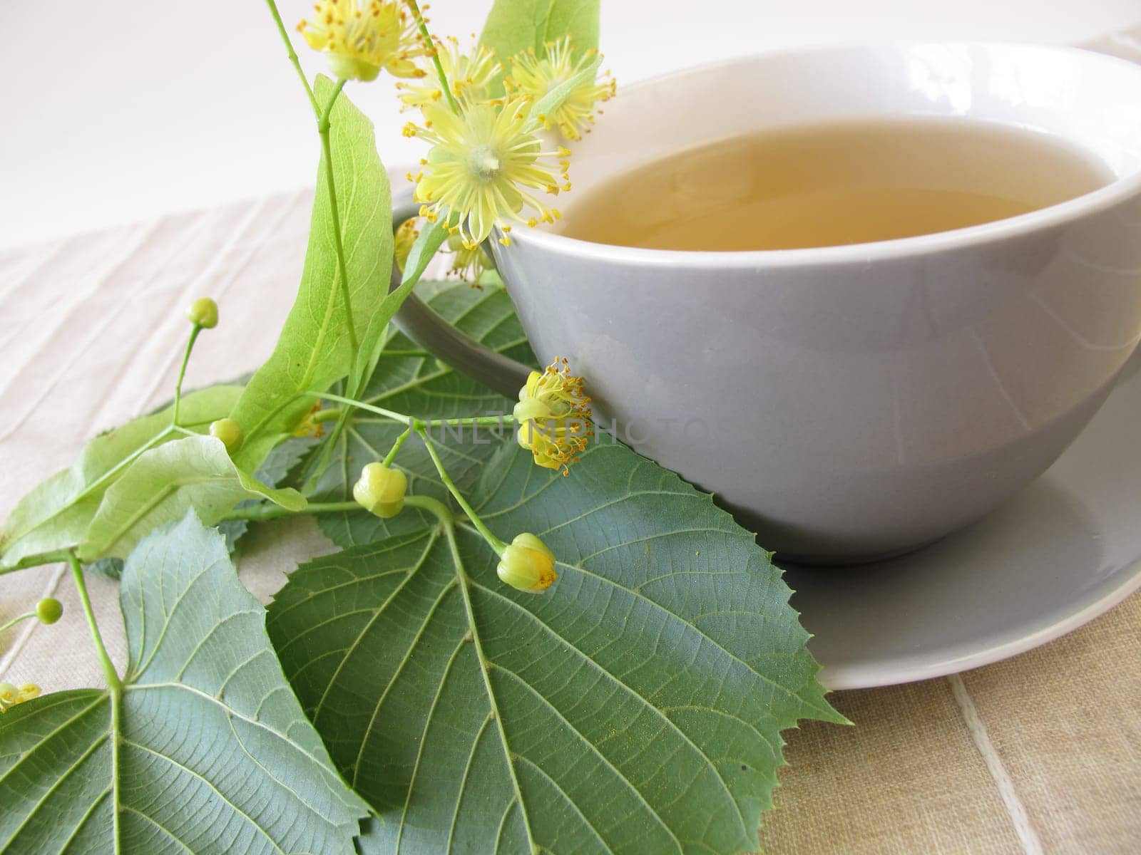 Linden blossom tea