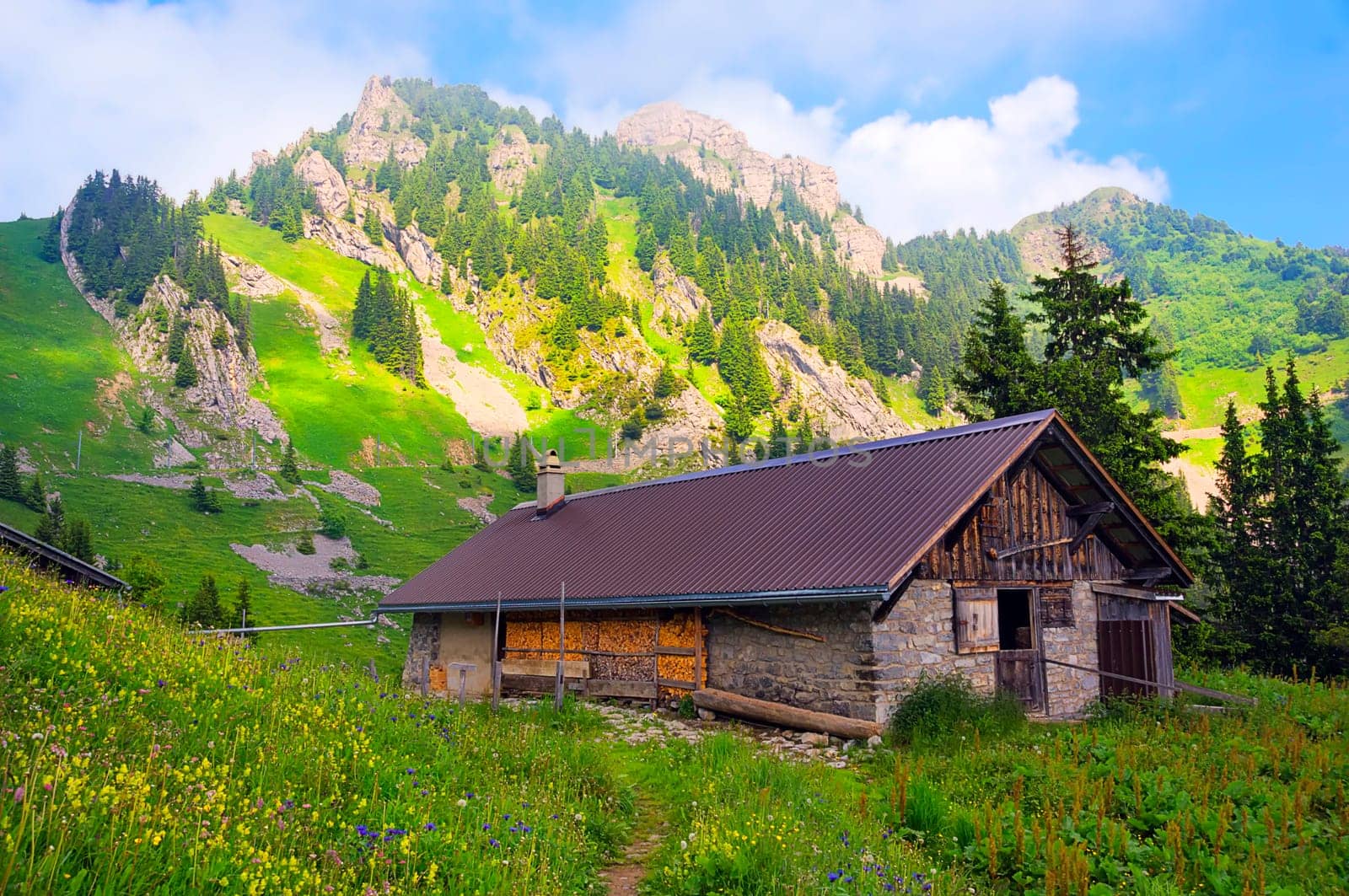 Alps to enjoy
