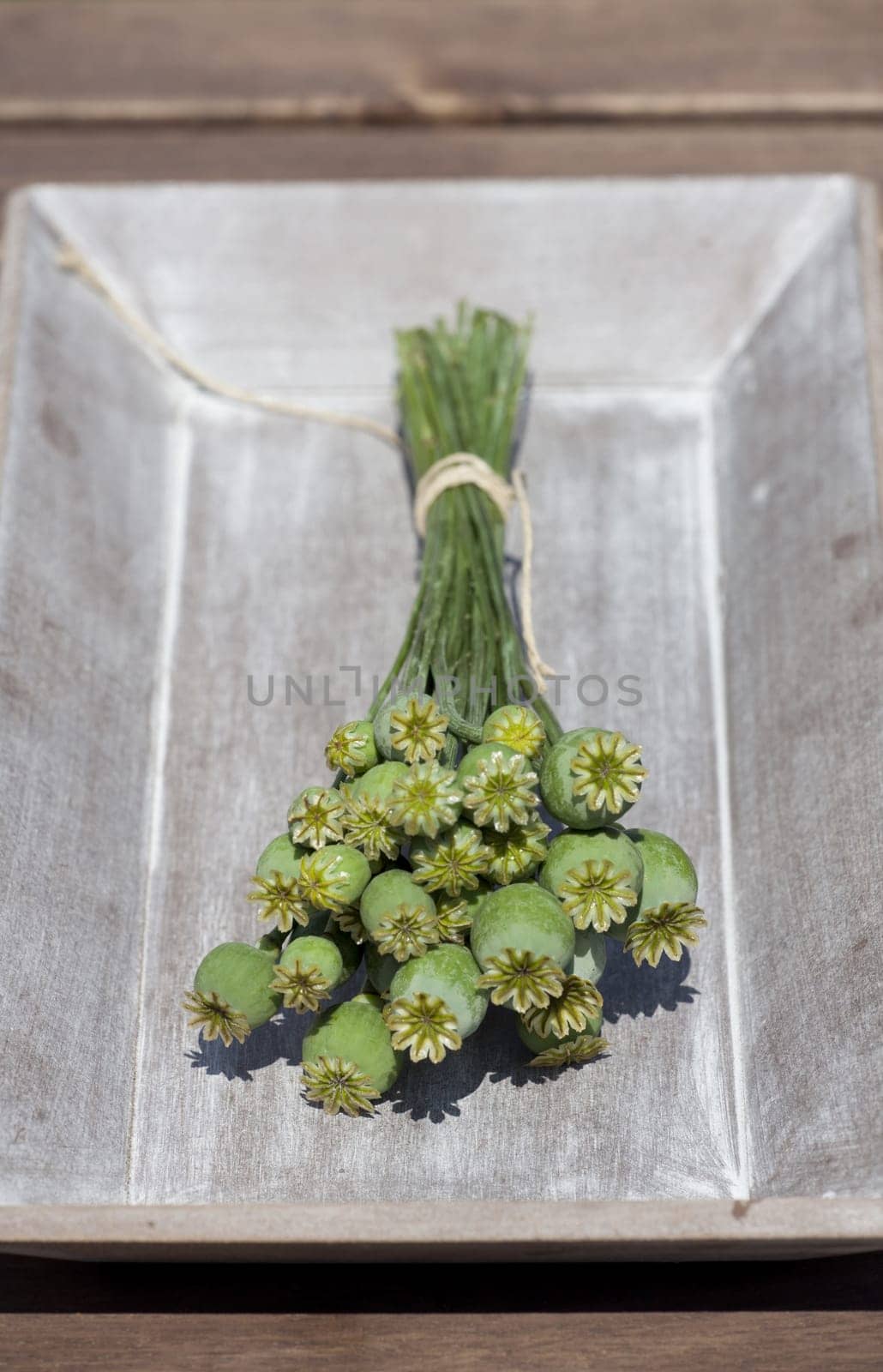 Poppy seed capsules still on the stem in a wooden bowl