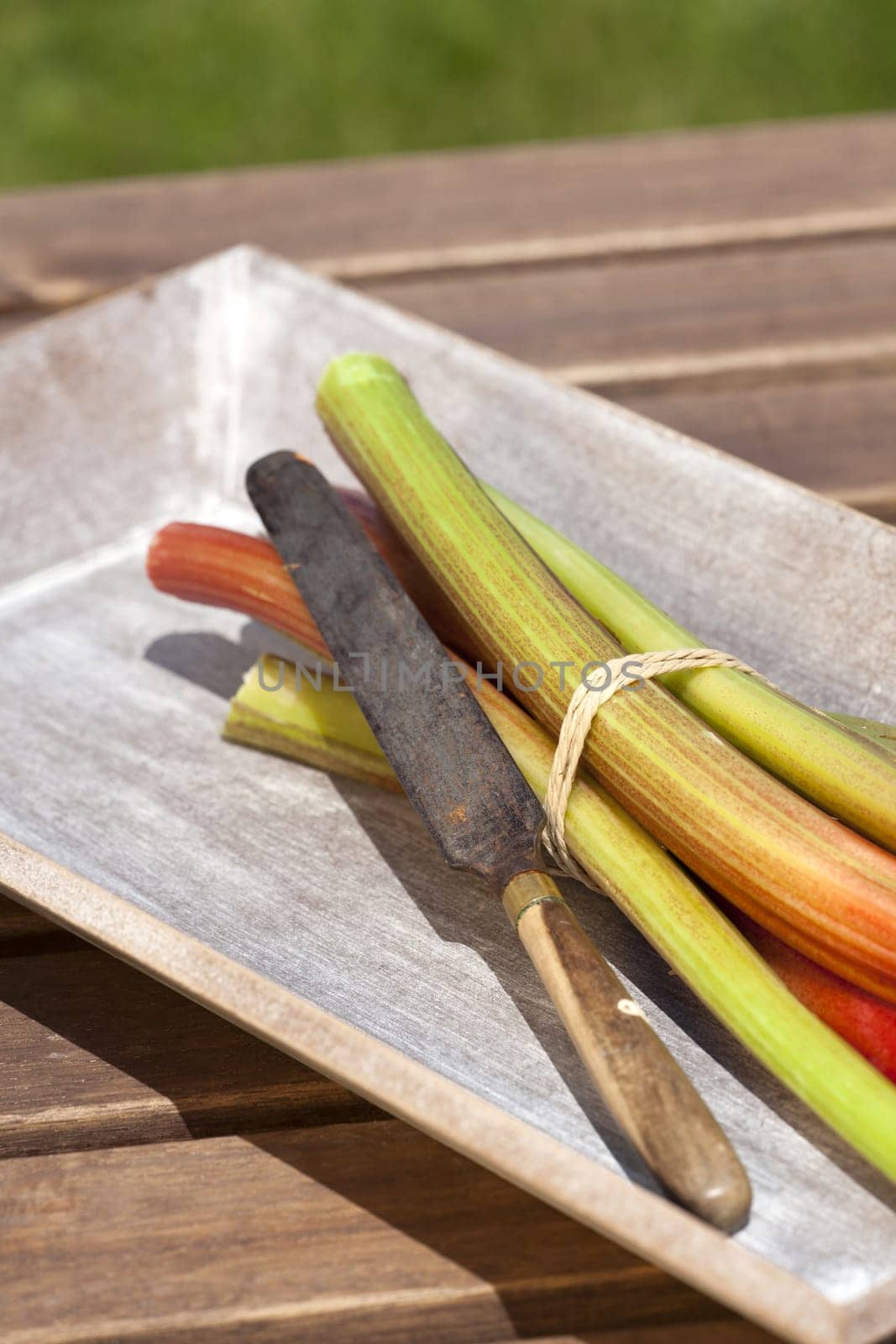 Freshly cut rhubarb with knife in a wooden bowl
