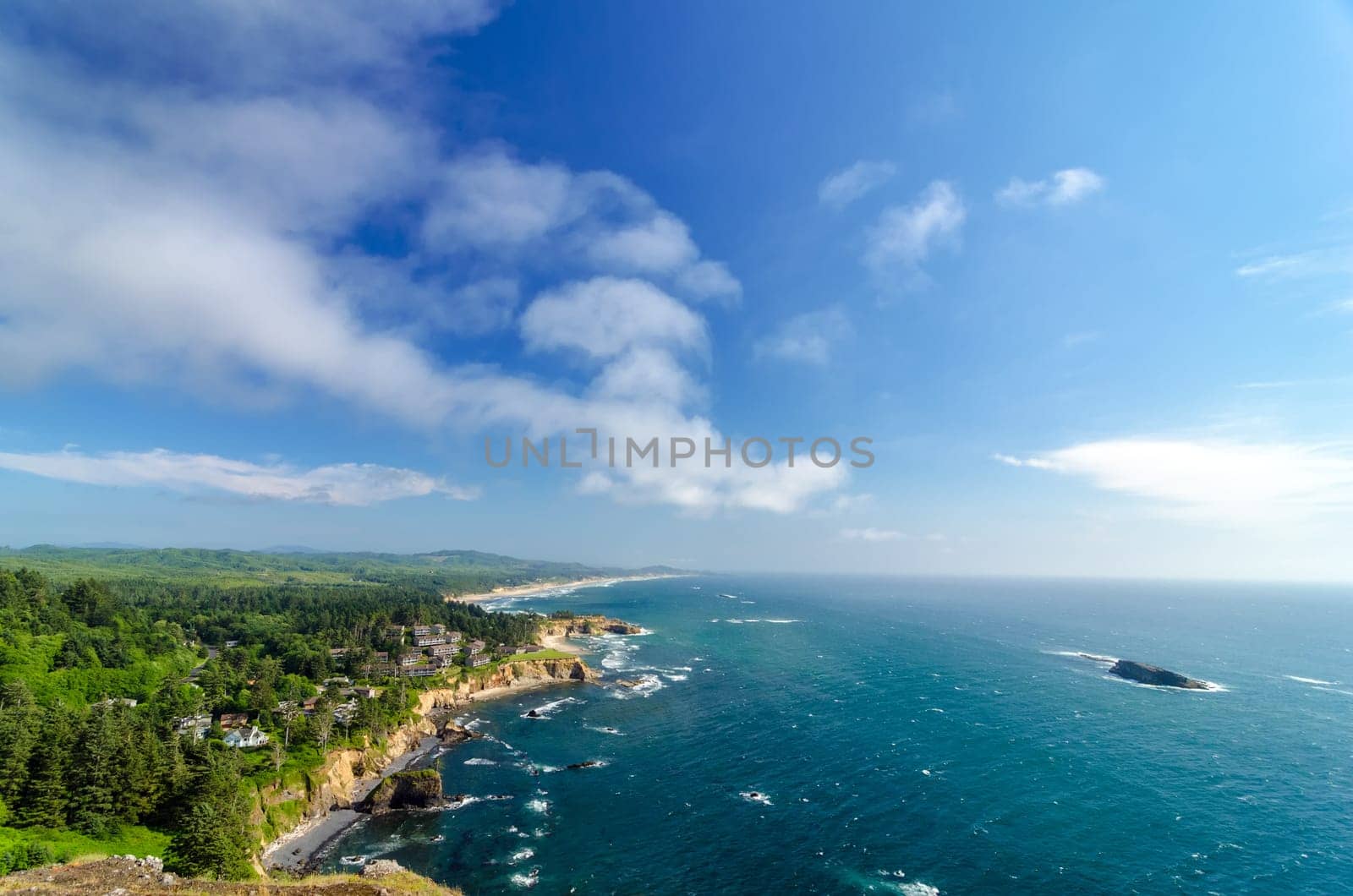 Lush green Oregon coast with blue sky and Pacific Ocean