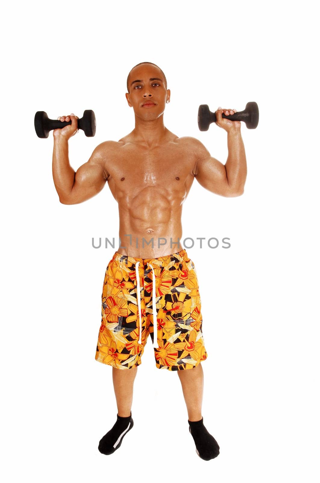 A young Jamaican bodybuilder standing in a colorful shorts for white.background holding two dumbbell, exercising..