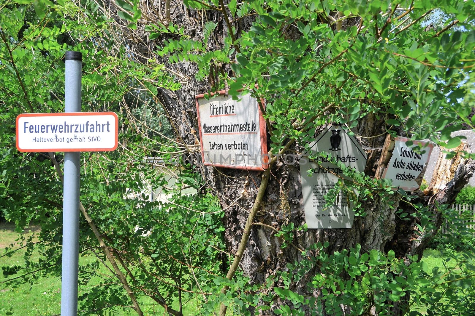 Schilderwald