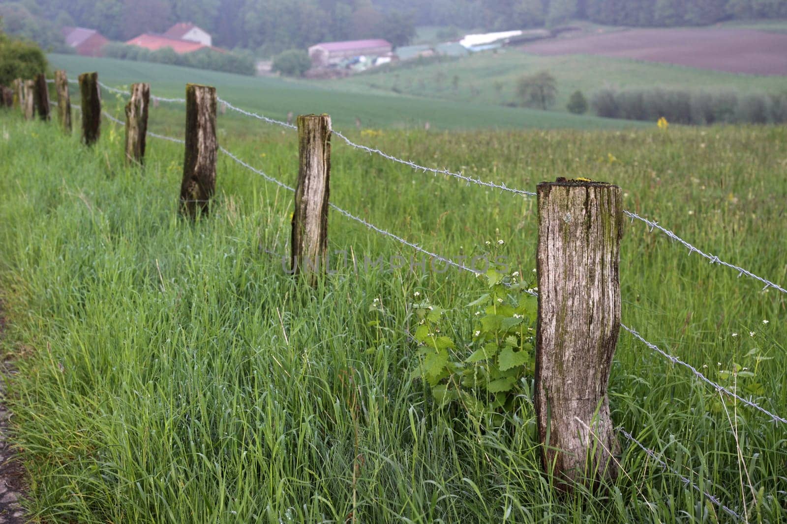 Electric fence