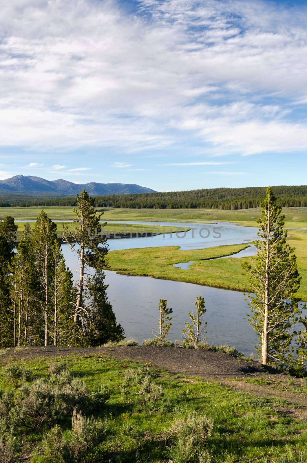 River in Yellowstone National Park in Wyoming