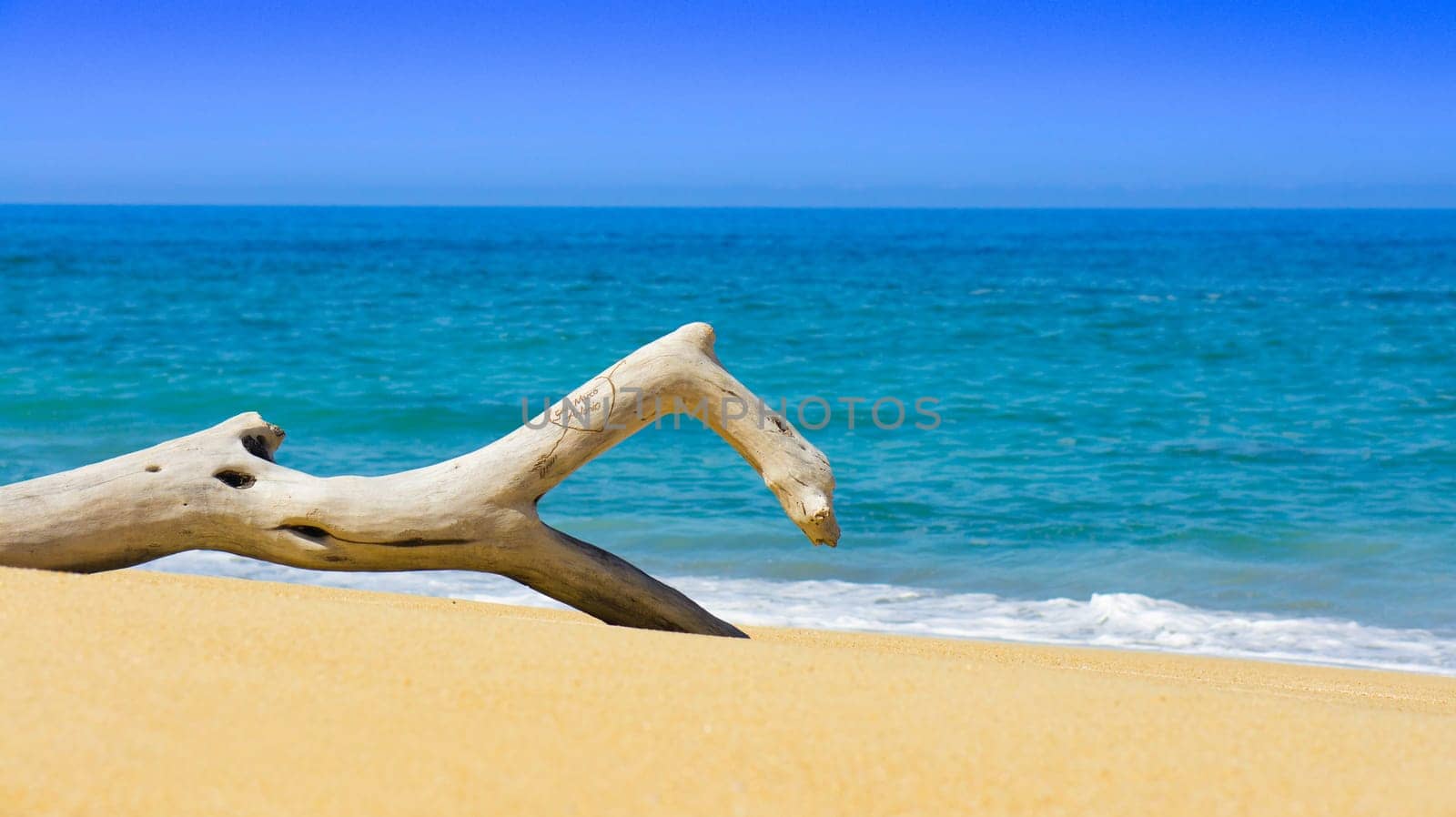 A tree stump with engraved heart lying on a tropical beach.
