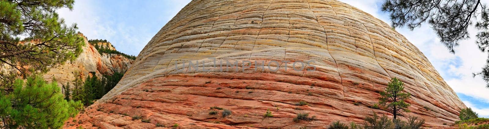 Checkerboard Mesa in Zion National Park,Utah,USA