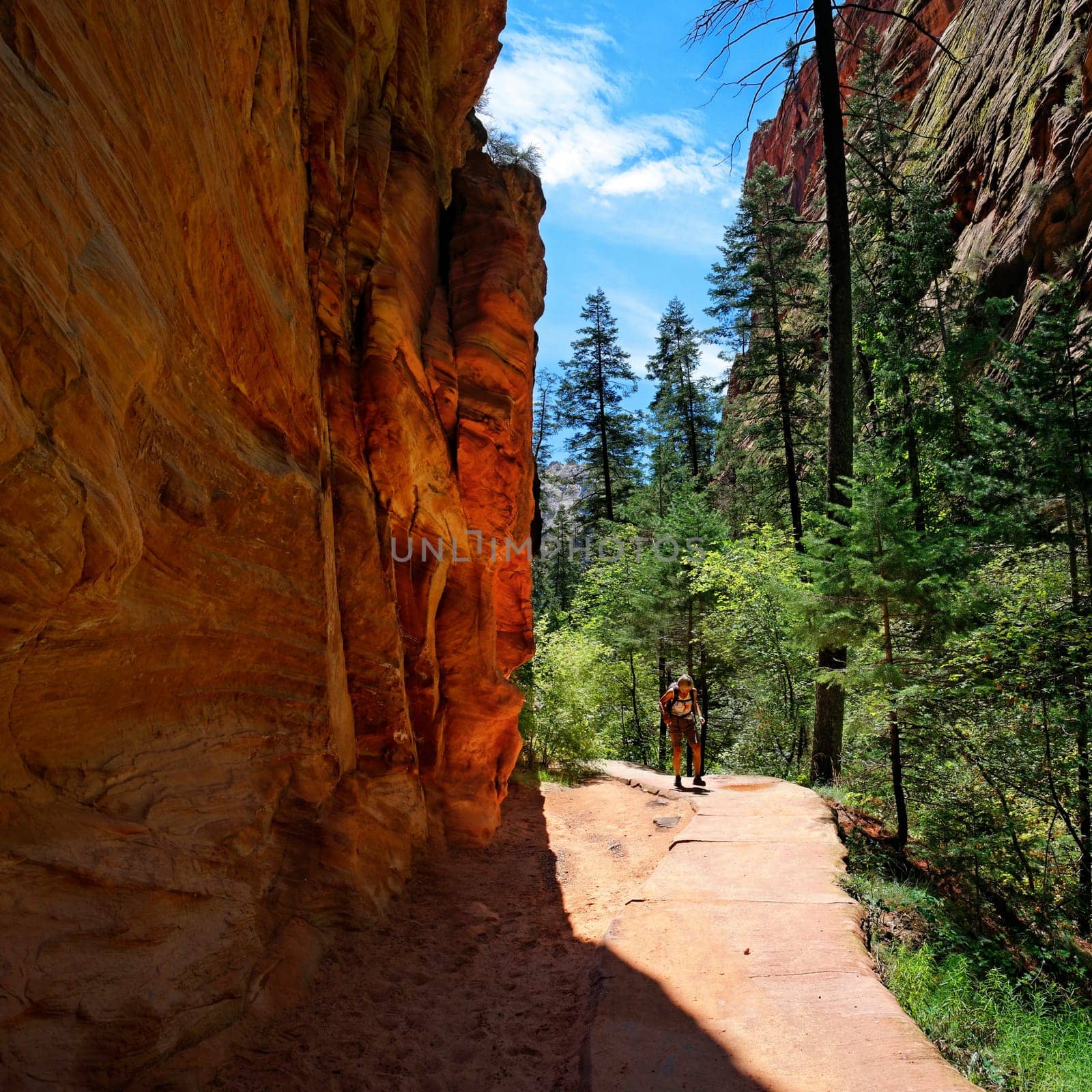 Trail to Angel Landing in Zion National Park,Utah,USA