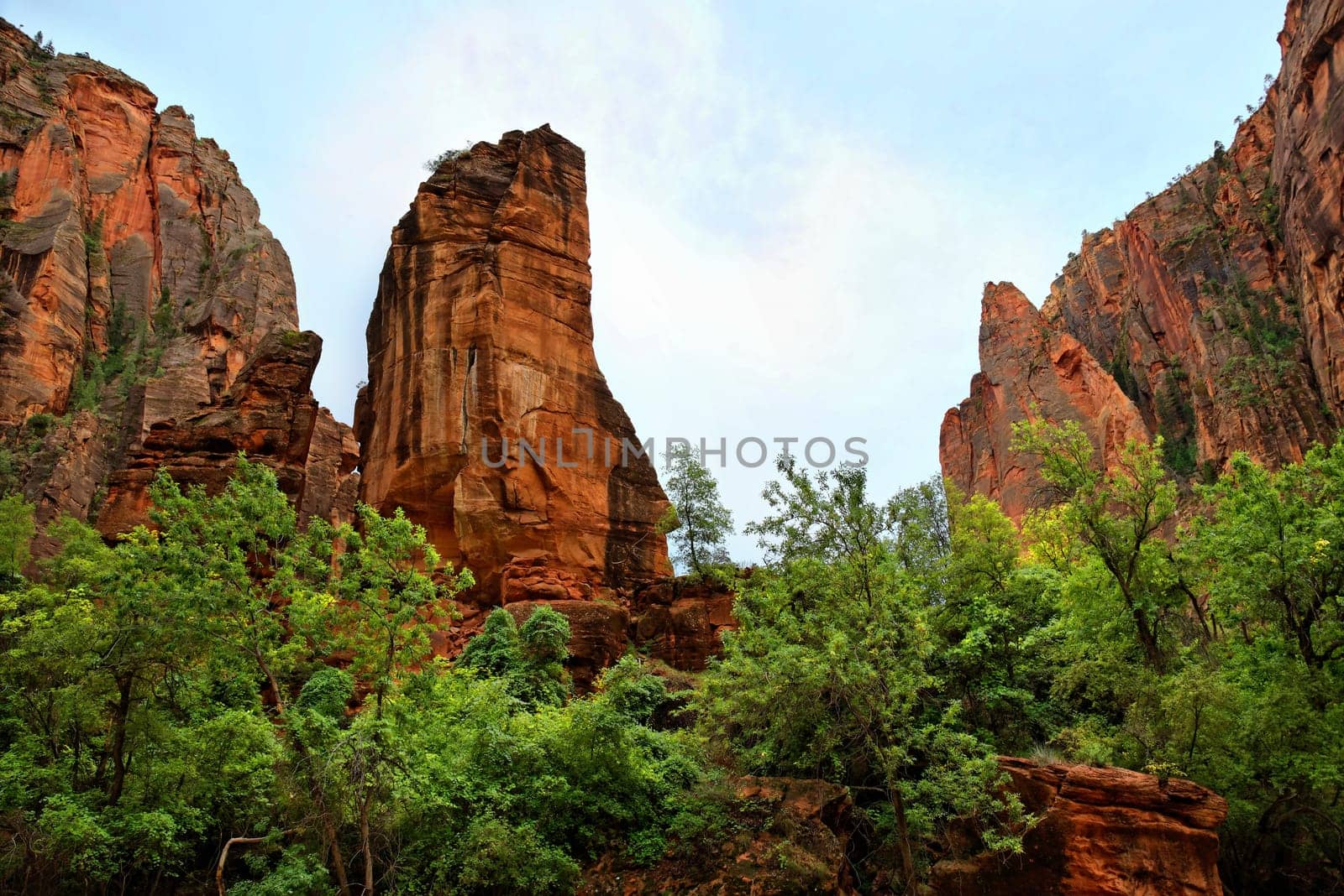 Temple of Sinawava in Zion National Park,Utah,USA