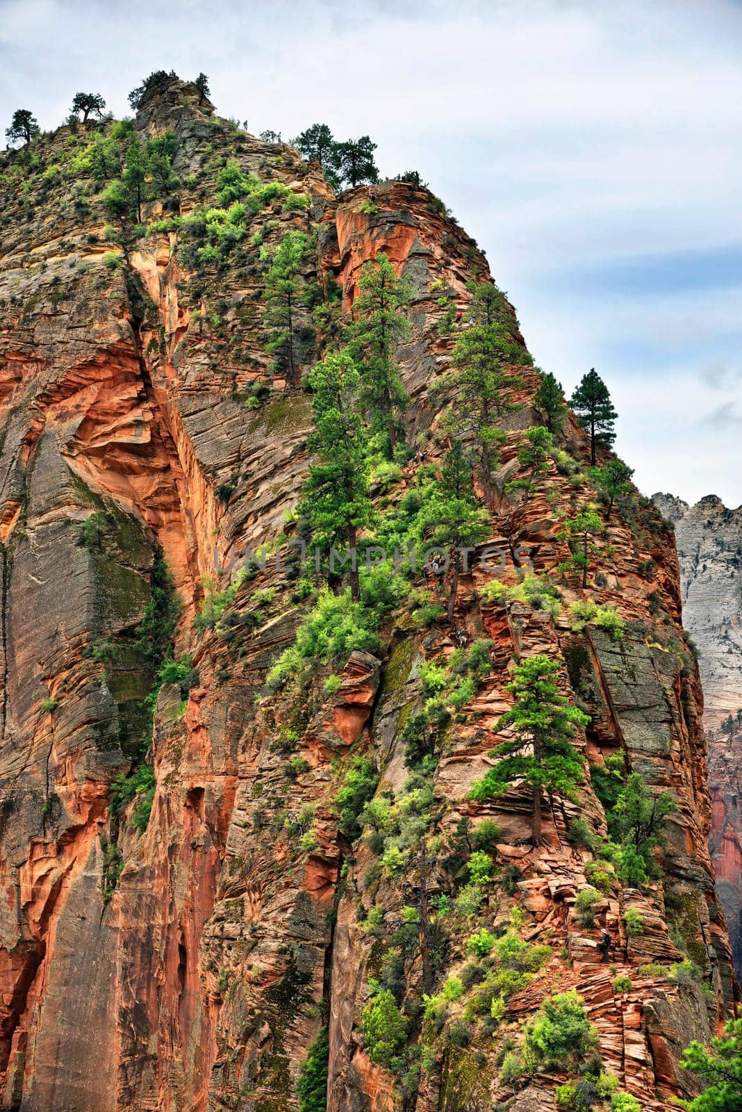 Angel Landing in Zion National Park,Utah,USA