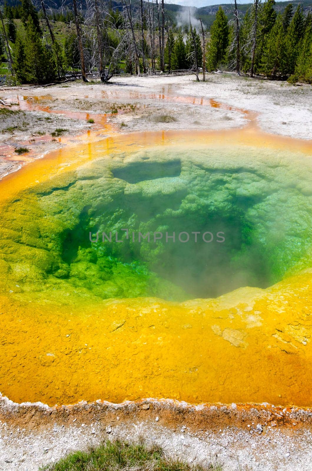 geyser in Yellowstone National Park in Wyoming