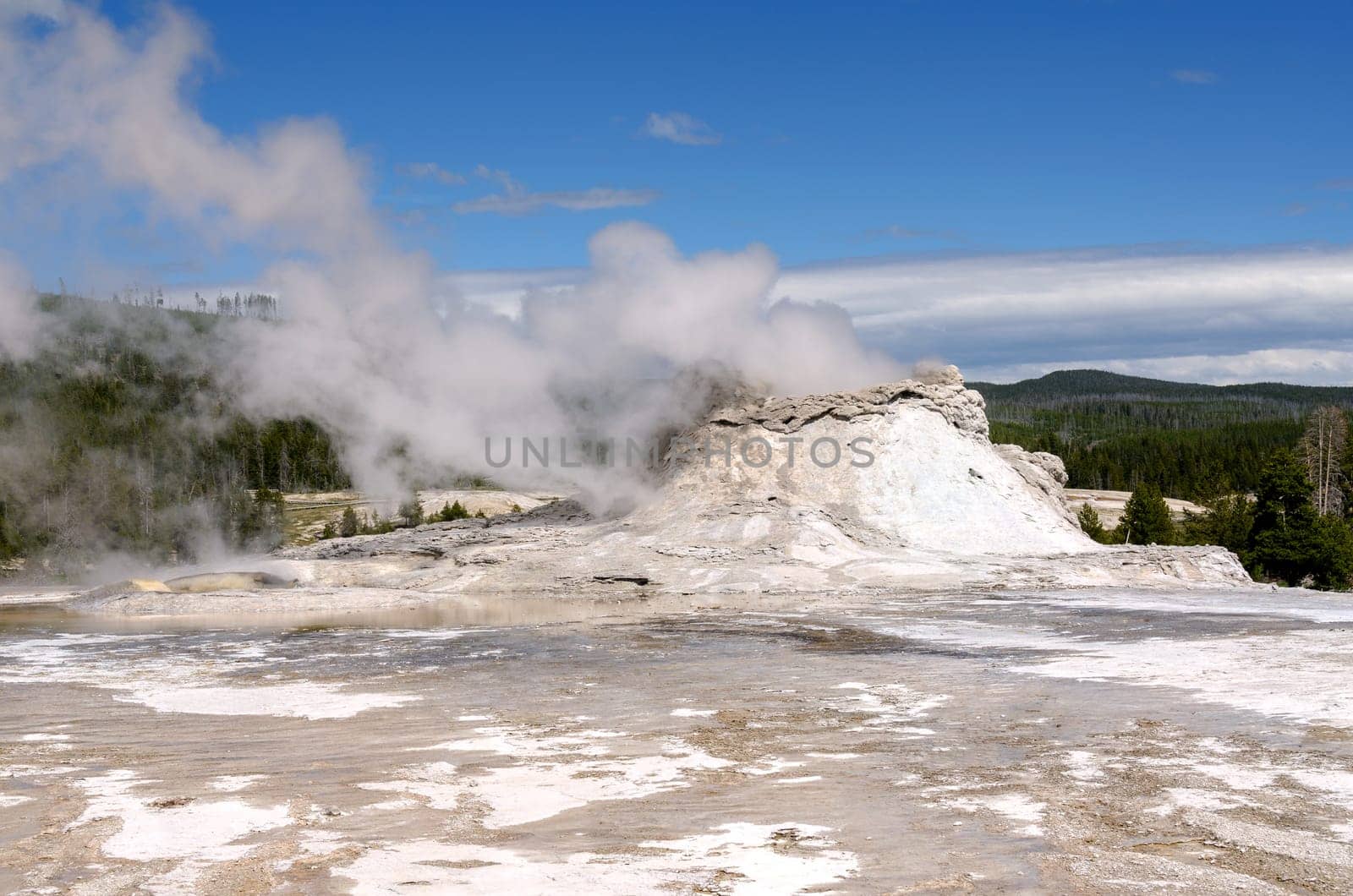 geyser in Yellowstone National Park in Wyoming