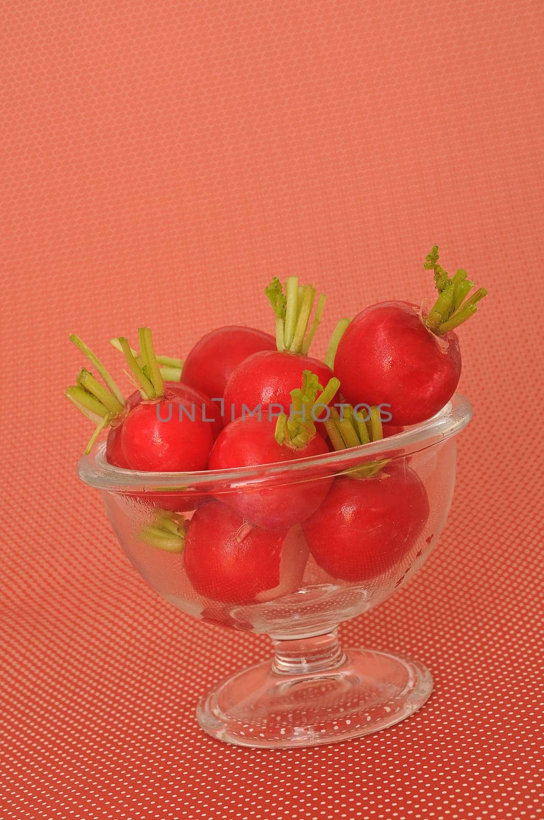 Radish