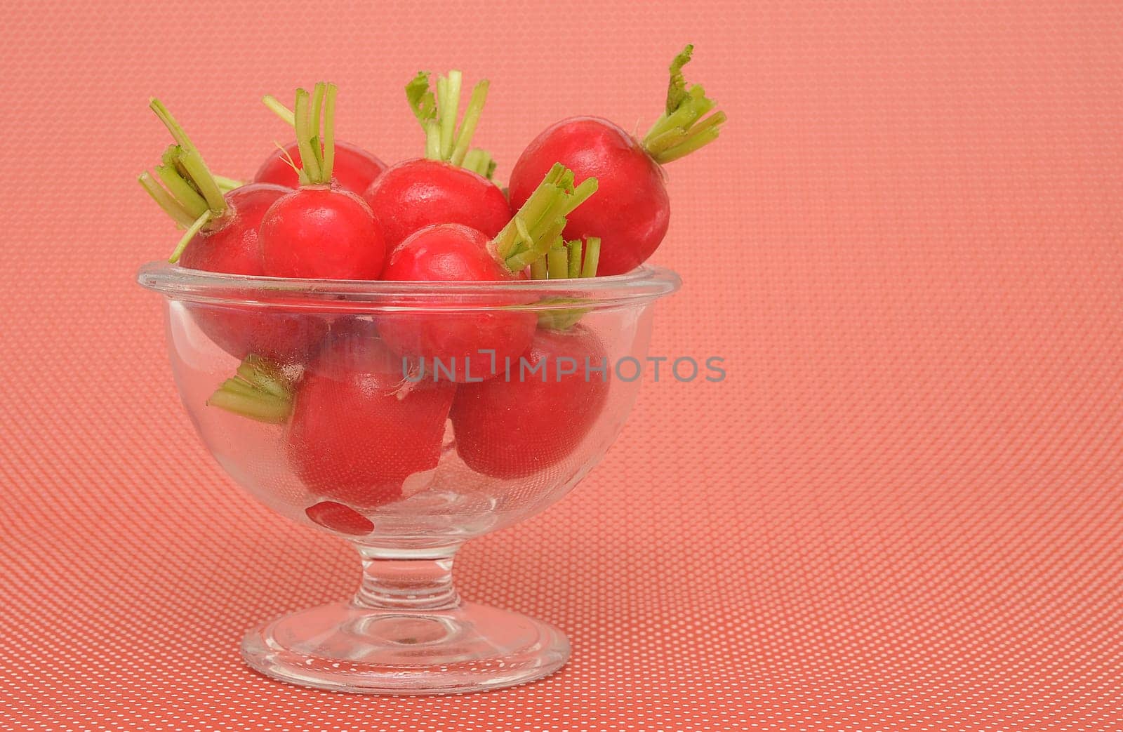 Radish