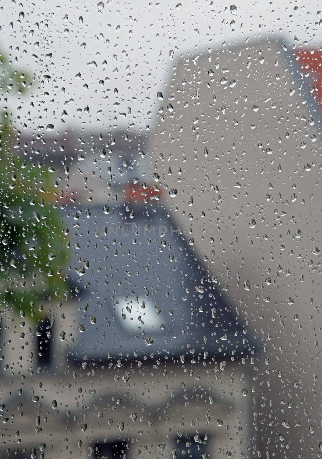 raindrops on the window