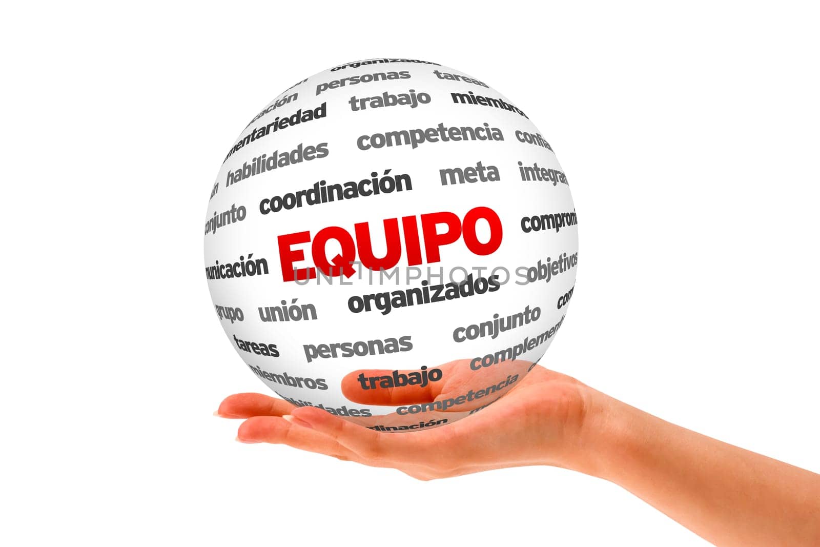Hand holding a 3D Team Word Sphere isolated on white background