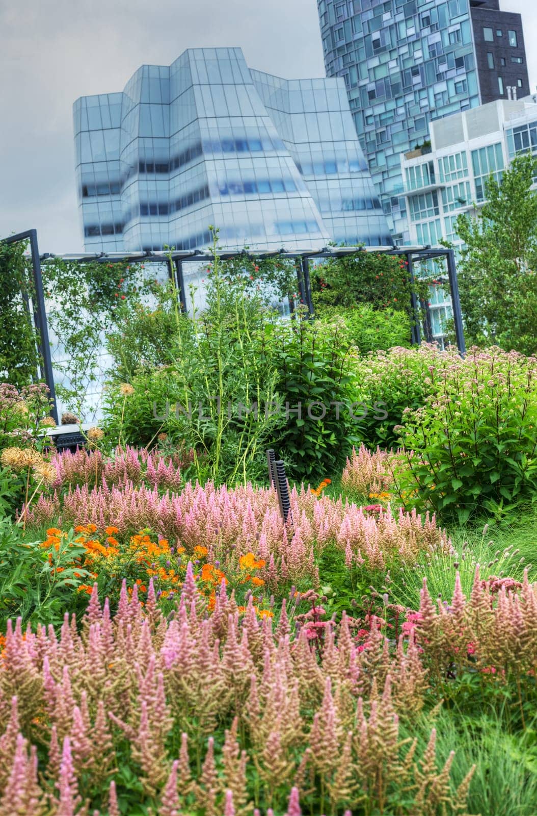 Landscaping at High Line in NYC in Manhattan.