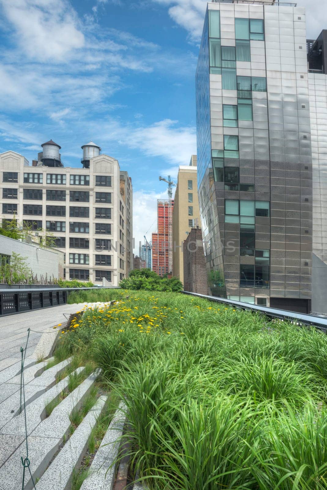 High Line in NYC in Manhattan.