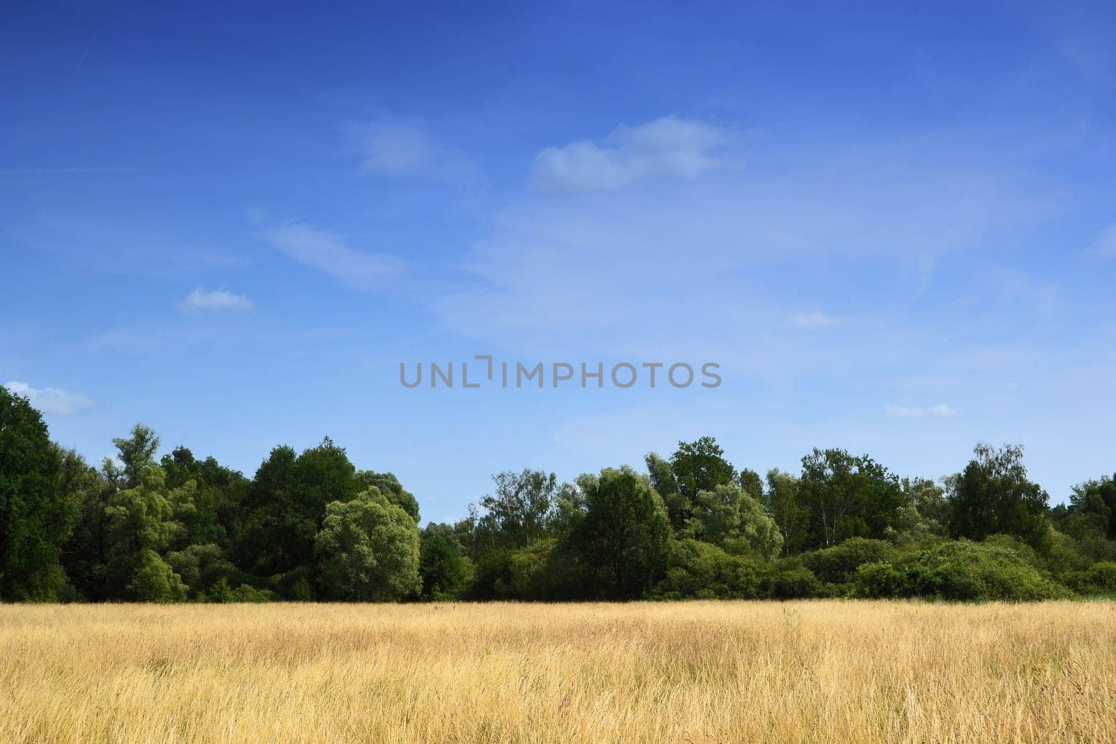 Natural landscape in Brandenburg