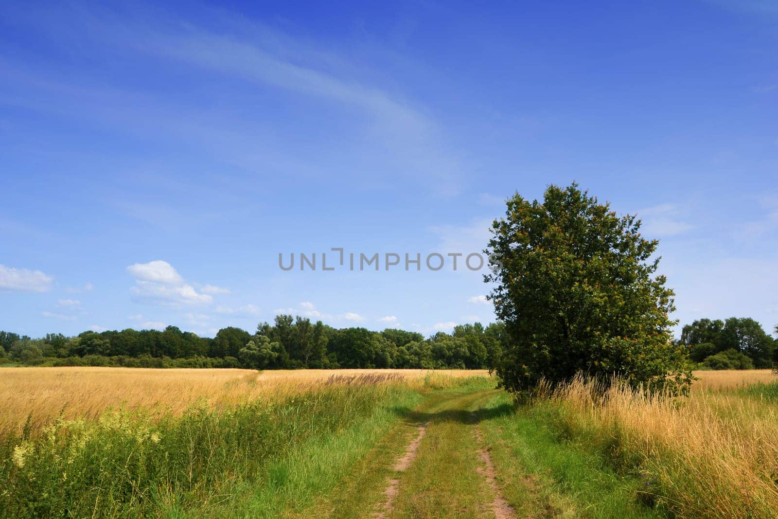 Natural landscape in Brandenburg