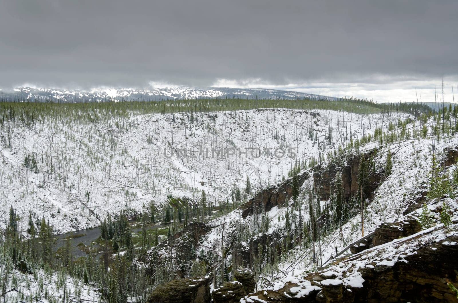 snow in summer in Yellowstone National Park in Wyoming