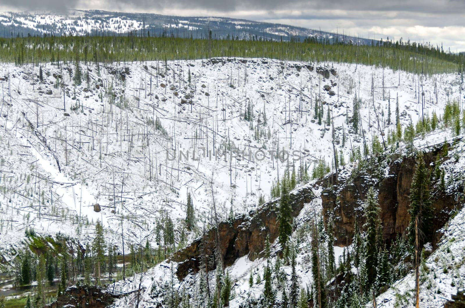 snow in summer in Yellowstone National Park in Wyoming