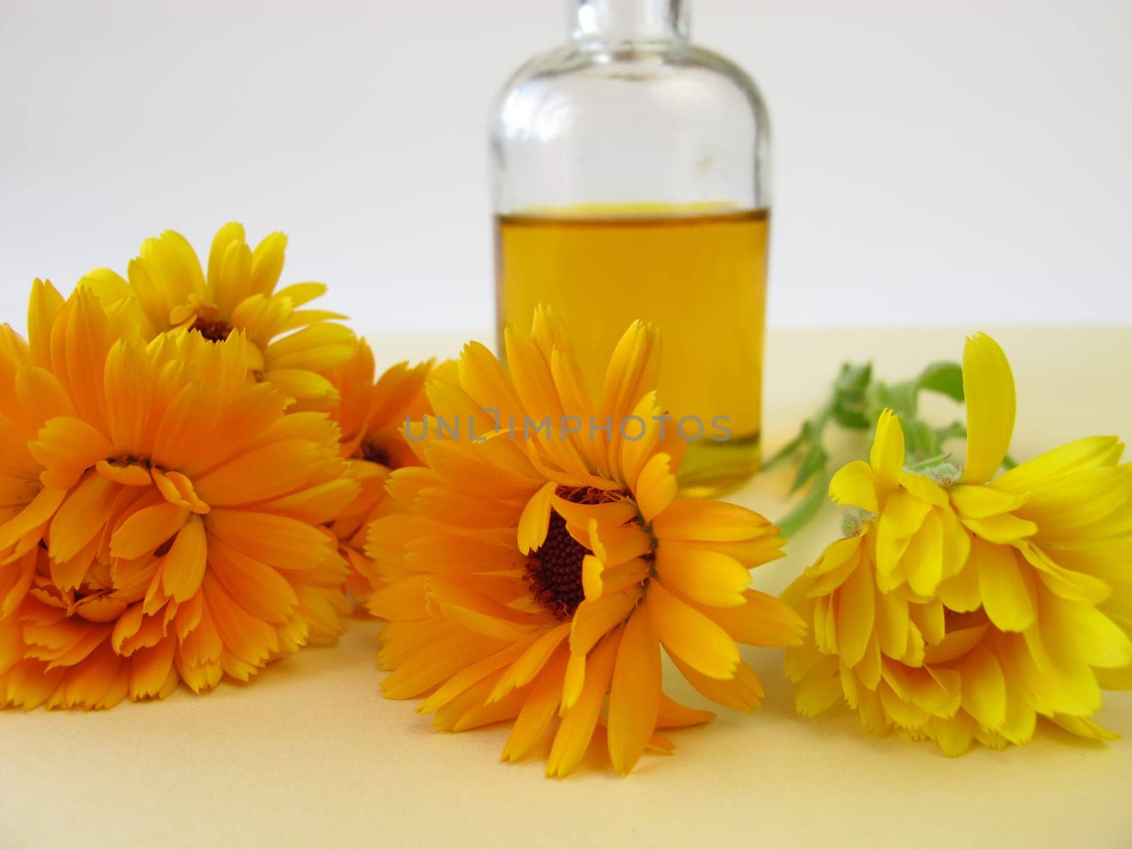Calendula oil