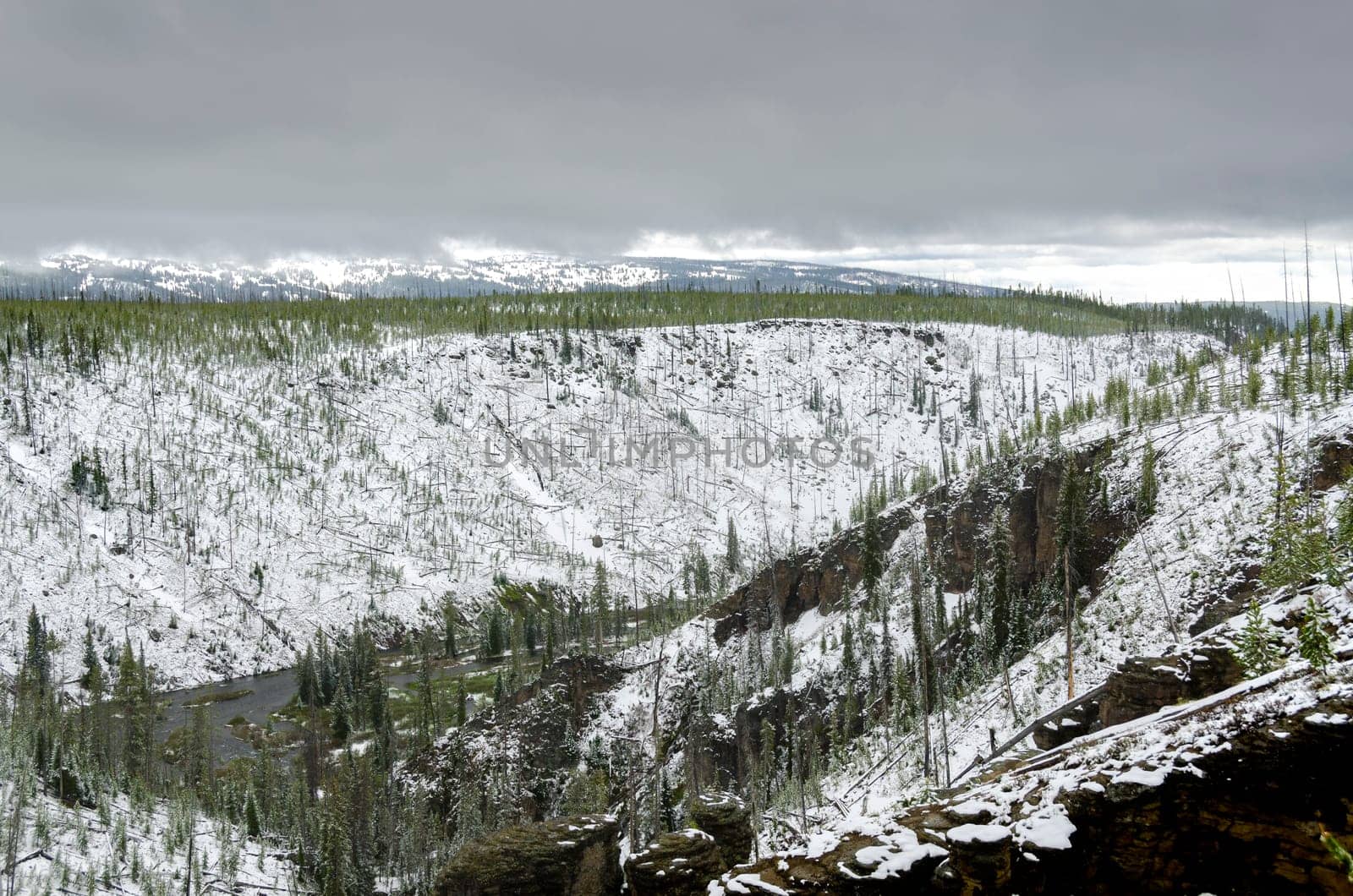 snow in summer in Yellowstone National Park in Wyoming