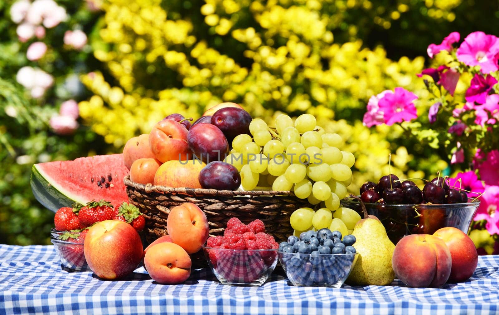 Basket of fresh organic fruits in the garden